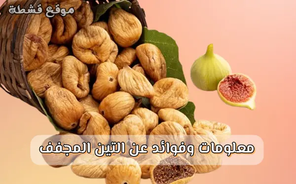 فوائد التين المجفف مفتوح ومغلق الفم | دليلك الشامل للصحة