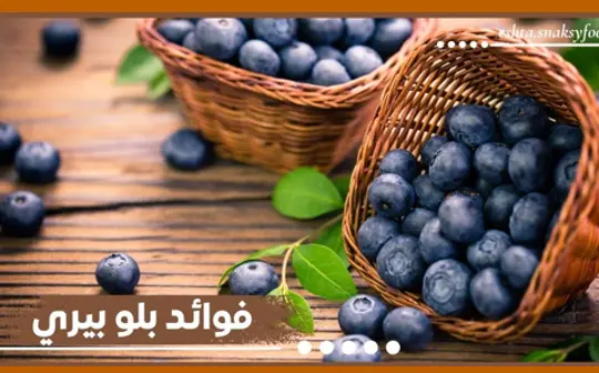 أفضل فوائد بلو بيري فاكهة التوت الأزرق