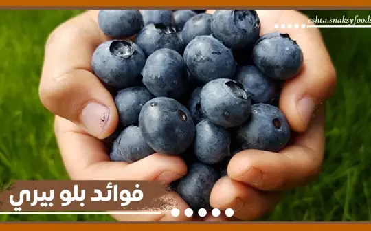 فوائد التوت الأزرق فاكهة بلو بيري